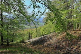 <p>Lužické hory - Studenec</p>